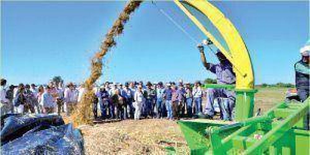 Laish�: Formosa muestra su potencial productivo