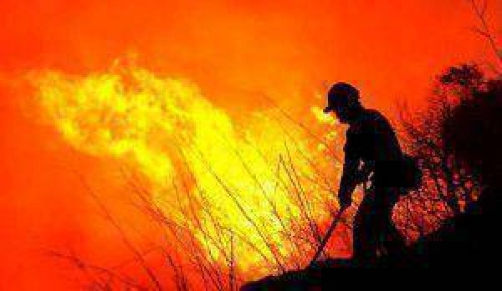 Incendios forestales: durante el 2012 en Jujuy se quemaron alrededor de 25 mil hect�reas de bosque nativo