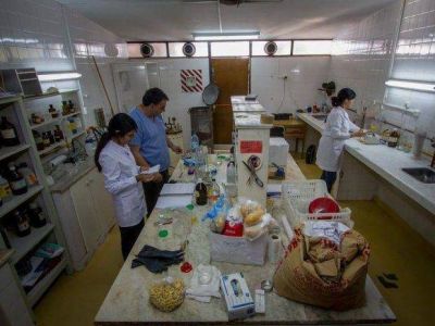 Salta tendr� laboratorio de an�lisis de gluten