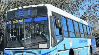 Rev�s judicial contra la Municipalidad complicar�a la licitaci�n de transporte