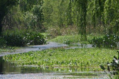 Por la fumigaci�n con agroqu�micos se proponen cuidar las cuencas de agua