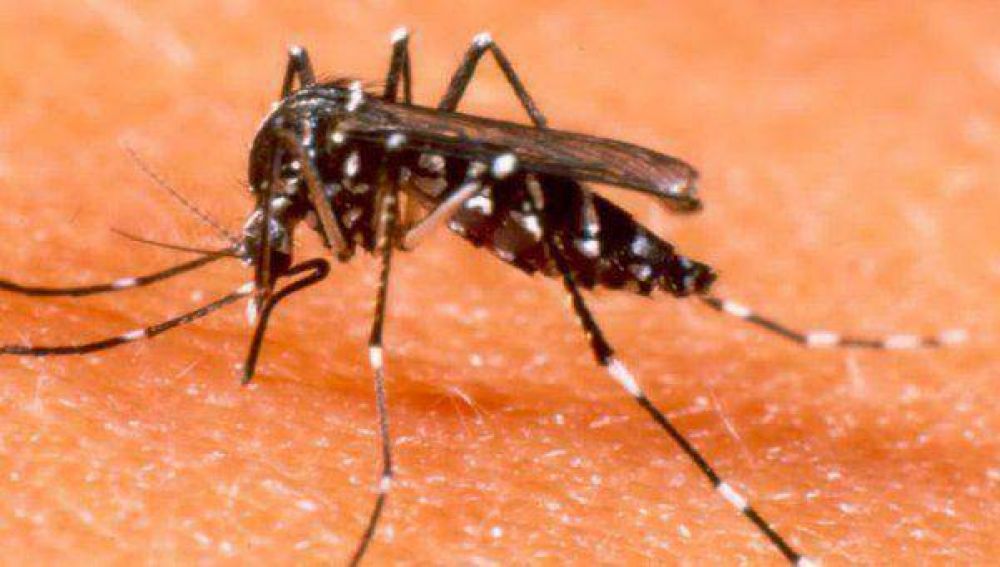 Paraguay: suben a 66 las muertes por dengue