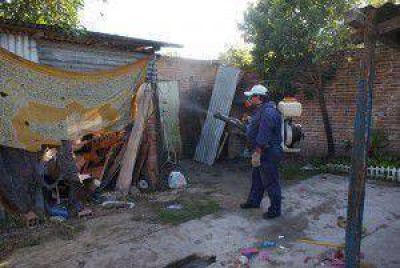 Dengue: prosiguen las tareas de prevenci�n en los barrios