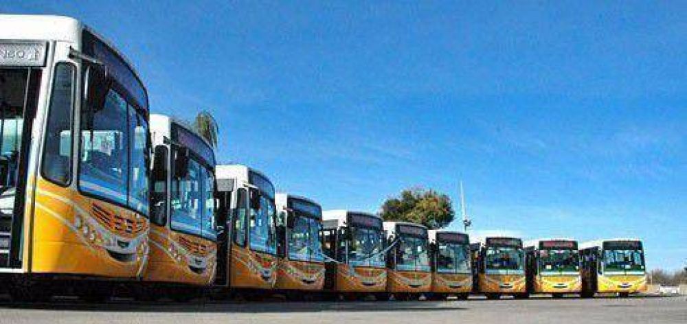 Rev�s judicial para la Municipalidad en materia de transporte