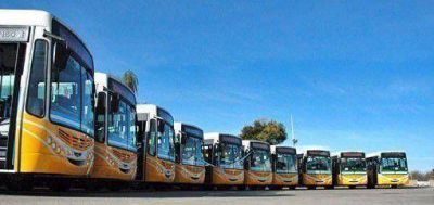 Rev�s judicial para la Municipalidad en materia de transporte