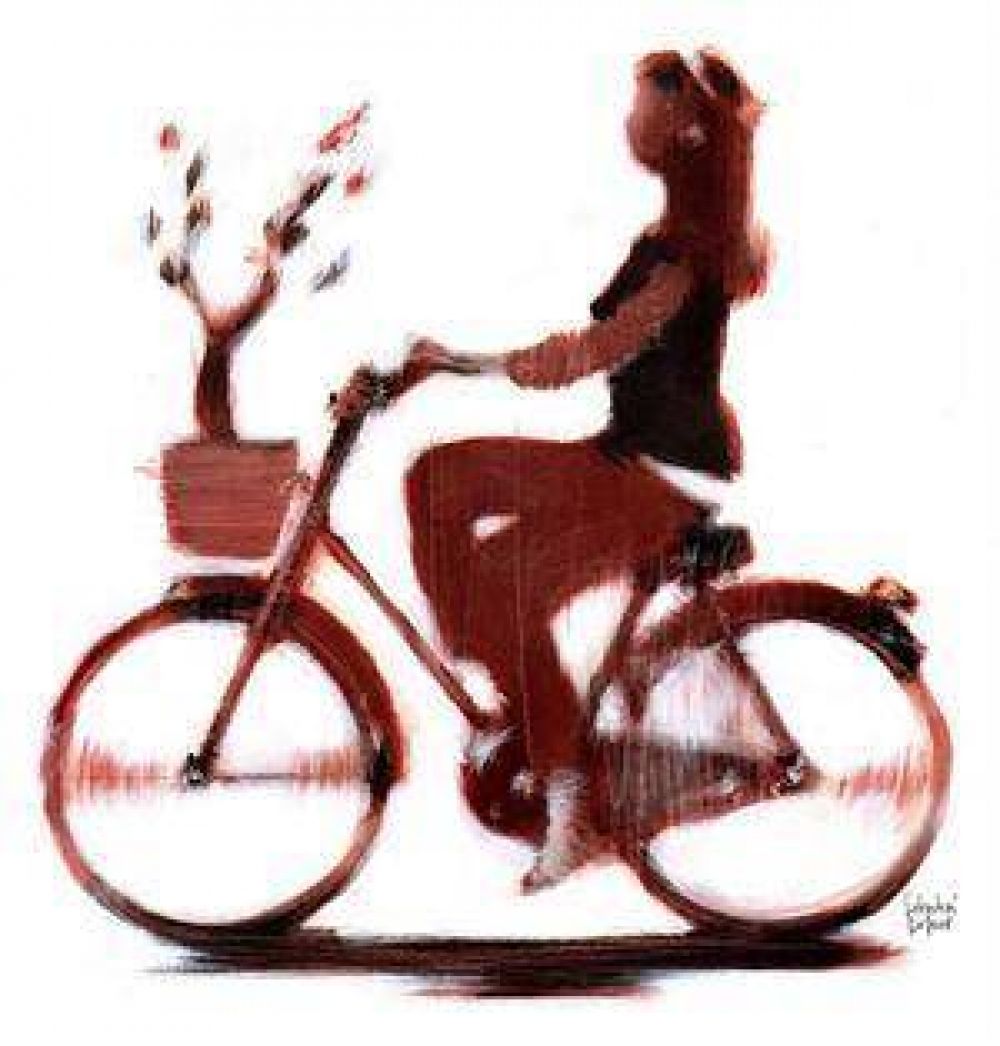 Bicis vs. coches: la hora de la empat�a vial