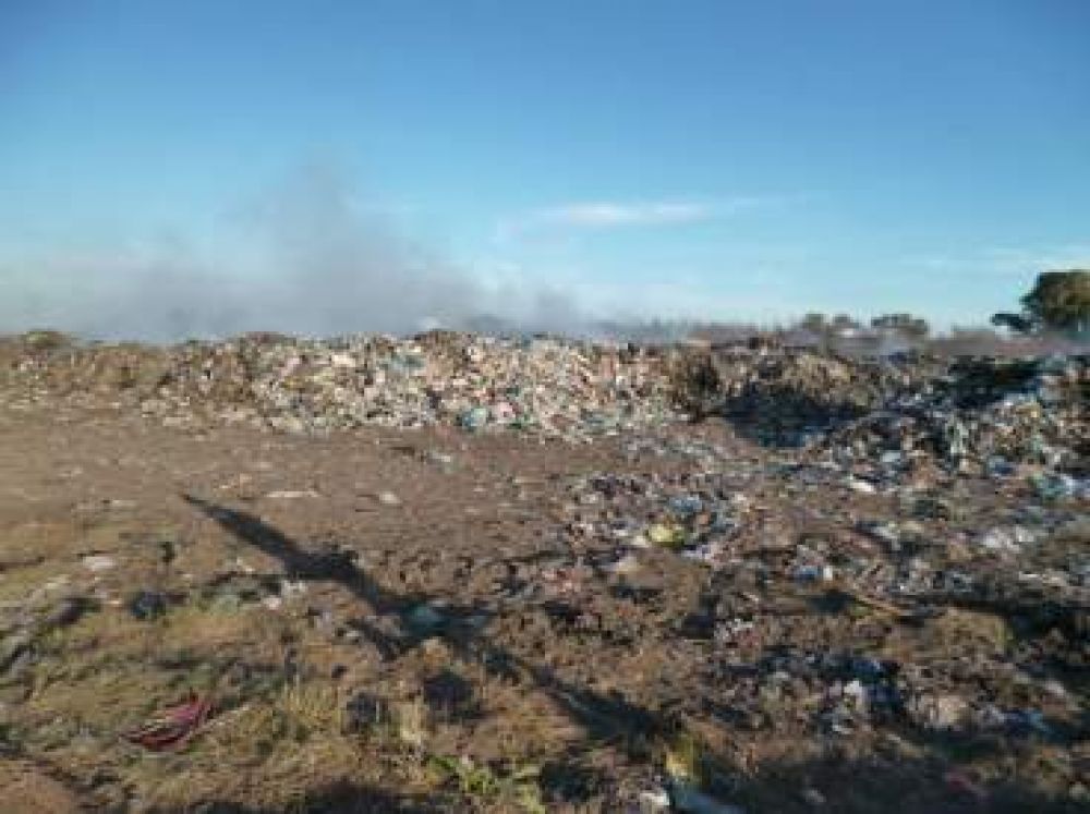 Relevamiento ambiental en nuestra ciudad