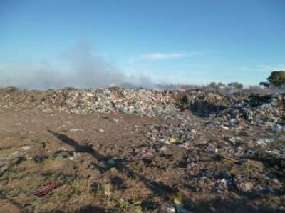 Relevamiento ambiental en nuestra ciudad