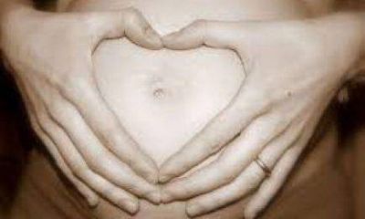 En Misiones se deber�n realizar tratamientos de fertilizaci�n asistida