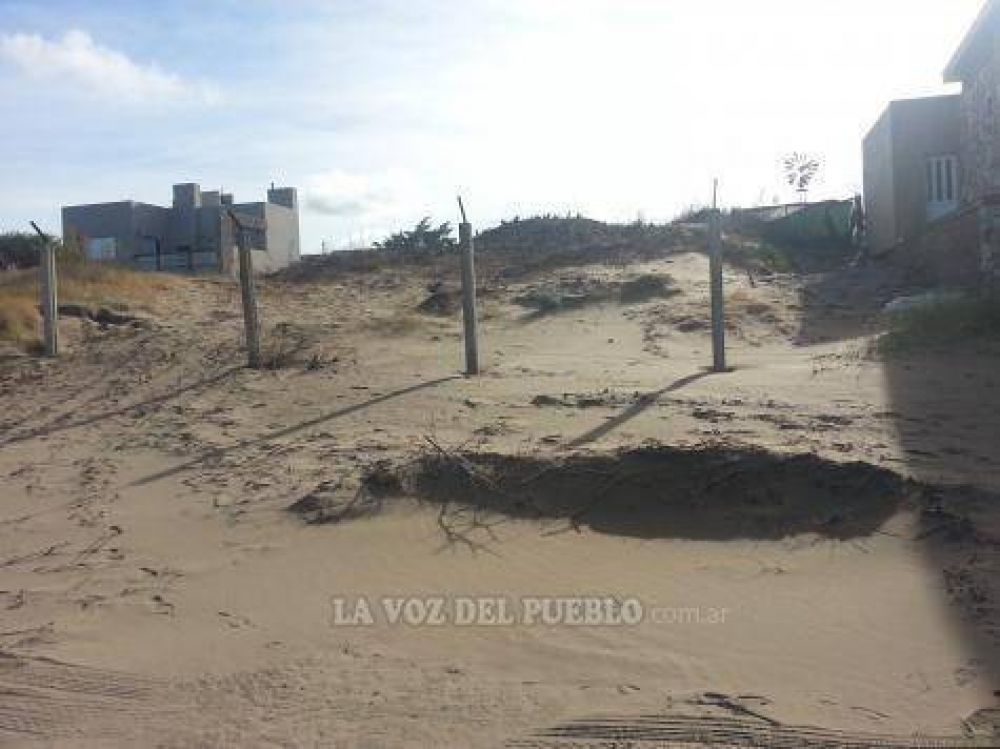 Talaron tamariscos en Dunamar