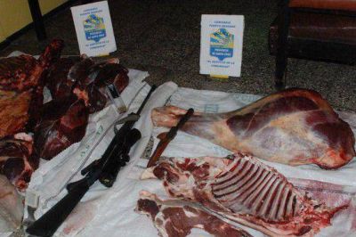 Secuestran varios kilos de carne en operativo policial contra el abigeato