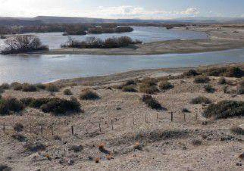 Encontraron a cazadores furtivos con ciervos y jabal�es faenados 