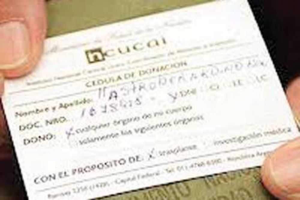 Todo ciudadano podr� manifestar su voluntad respecto a donar �rganos
