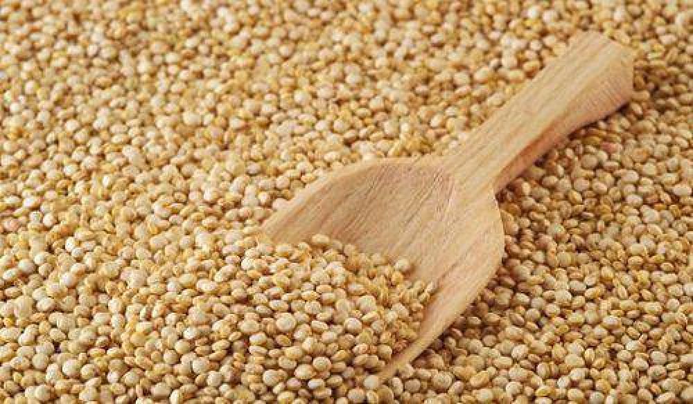 Proponen declarar de inter�s nacional la promoci�n, fomento y desarrollo de la quinoa