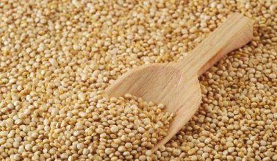 Proponen declarar de inter�s nacional la promoci�n, fomento y desarrollo de la quinoa