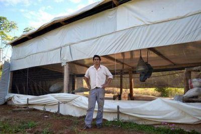 Organizarse, producir y crecer: la exitosa experiencia de los Productores Unidos de Santiago de Liniers