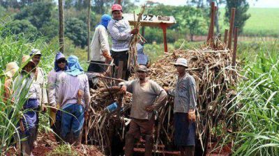 FOTIA esperar� hasta ma�ana una respuesta de la industria azucarera