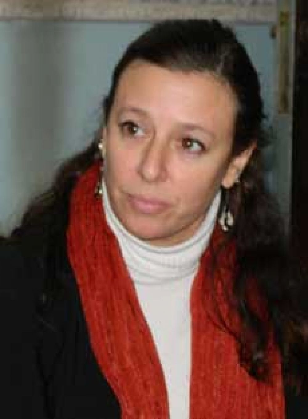 'Hay elementos para vincular a Lemos con el doble crimen, no as� con los menores' 