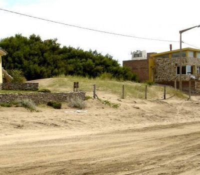 La tala de tamariscos realizada en Dunamar