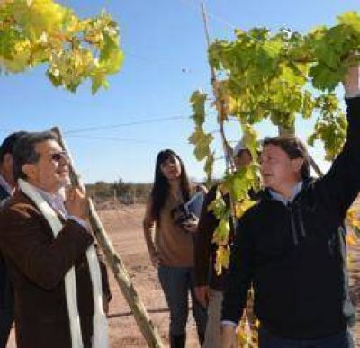 La Rioja tendr� su stand fijo en el Mercado Central de Buenos Aires