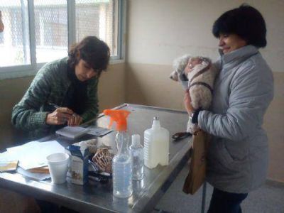 Arias: �Hay una sola salud para una sola comunidad�