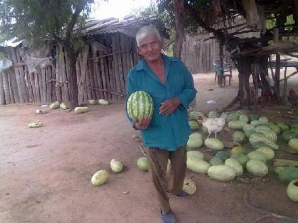 Fortalecen estrategias productivas en diferentes comunidades abor�genes 