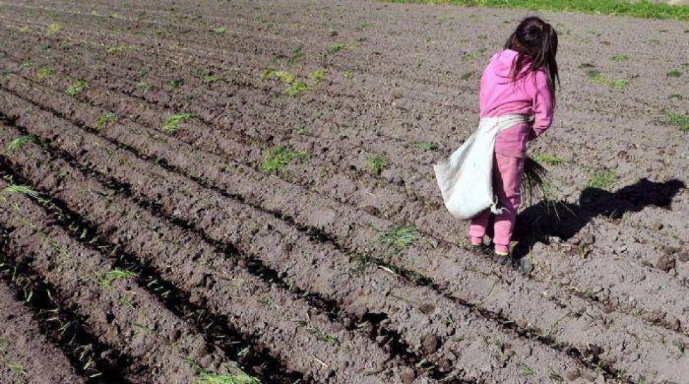Por los controles, ahora trabajan menos chicos