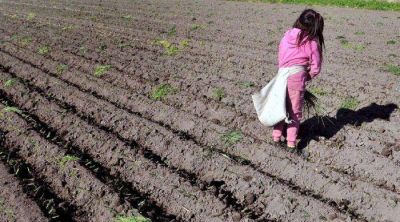 Por los controles, ahora trabajan menos chicos