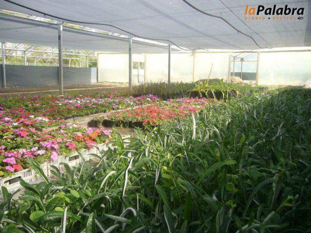 Importante participaci�n del vivero municipal en instituciones