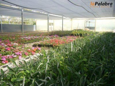 Importante participaci�n del vivero municipal en instituciones