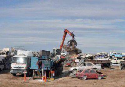 Compactar�n 70 autos por d�a 