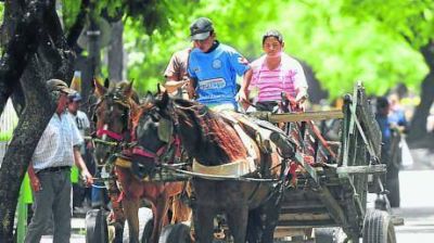 Habr� patentamiento y vacunas para caballos
