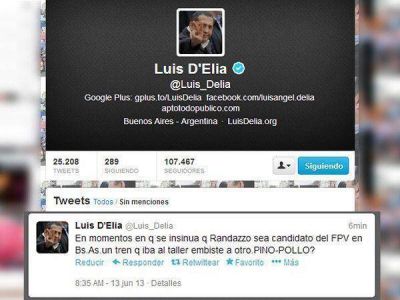 Luis D'El�a apel� a una llamativa teor�a conspirativa para explicar la tragedia