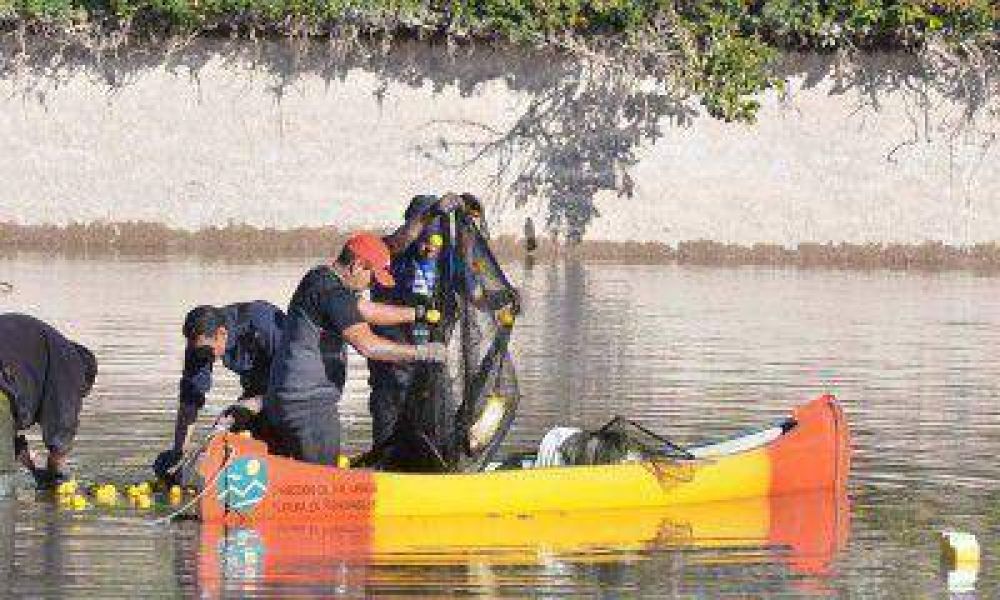 Ya se han reubicado cerca de mil peces por los trabajos en el lago del Parque