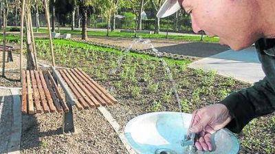 Por ley, repondr�n bebederos en plazas y parques porte�os