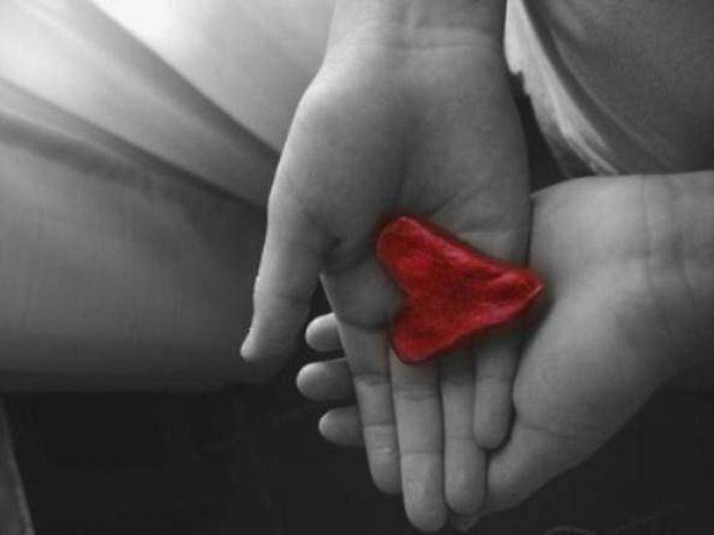 Siete pacientes recibir�n los �rganos de santiague�o fallecido