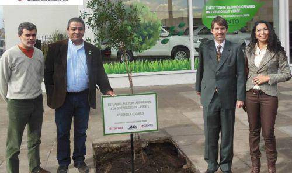 Toyota Zento apuestan al medio ambiente