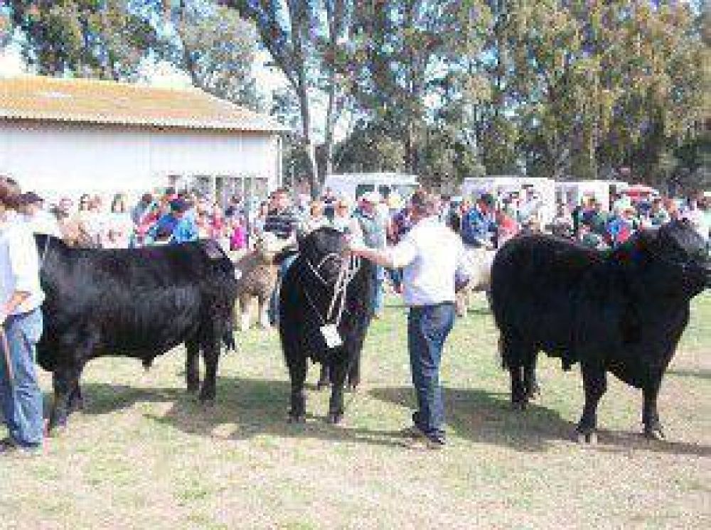 La Sociedad Rural renovar� autoridades