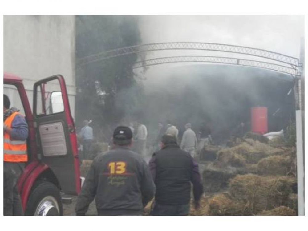 Un voraz incendio arras� con cientos de fardos en la localidad de Viale