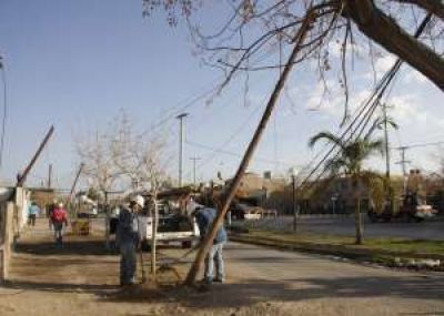 Susto por un cami�n que tir� cables y seis postes