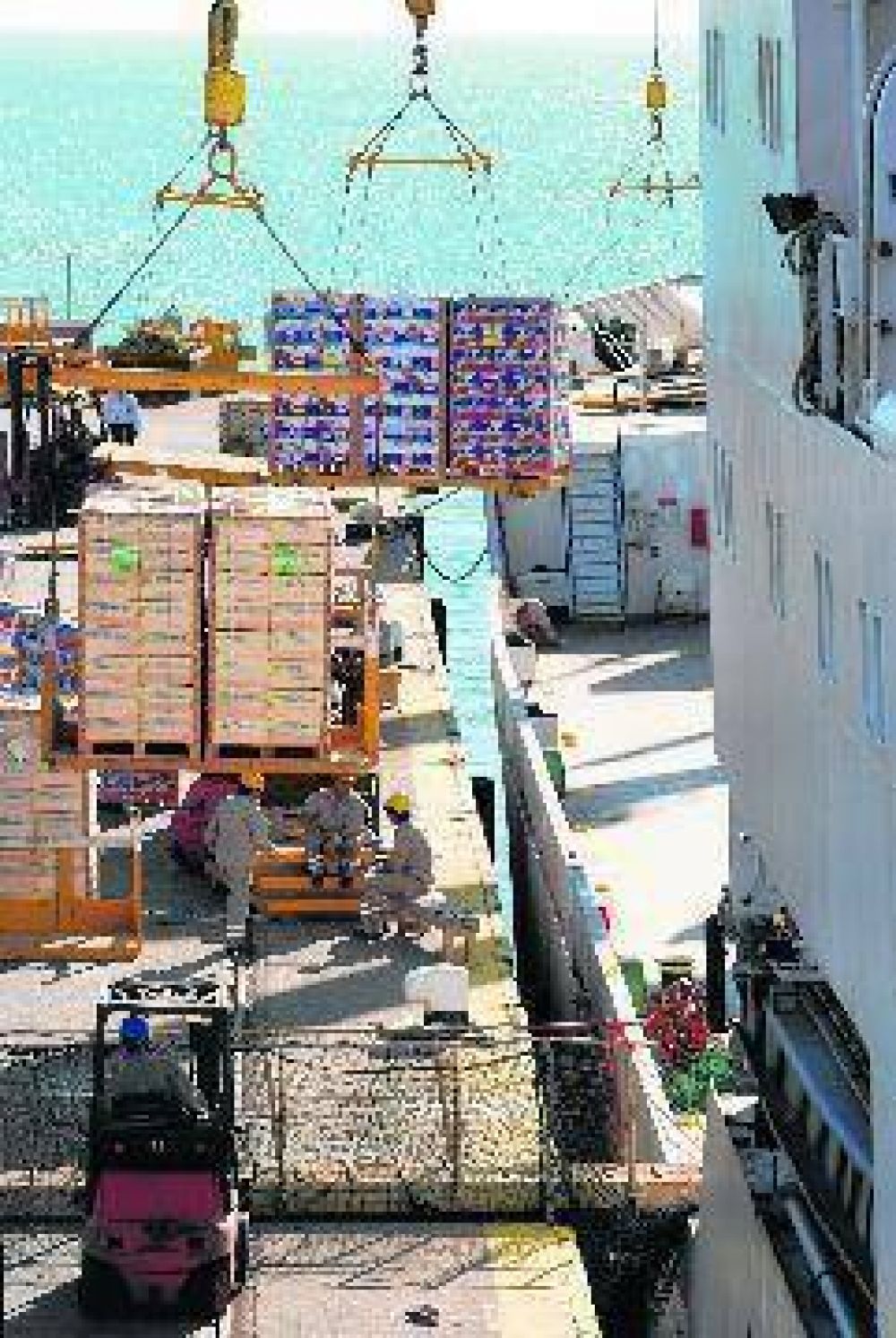 Mejor� 25% la exportaci�n frut�cola con destino a ultramar