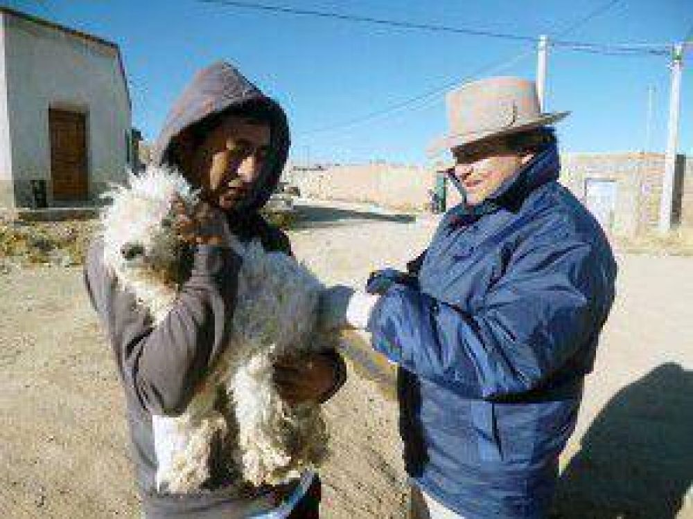 Rabia: masiva vacunaci�n en �rea de frontera