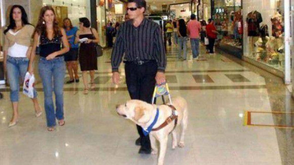 Los ciegos podr�n usar a sus perros gu�as en lugares de acceso p�blico