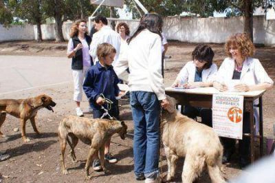 Cronograma para la esterilizaci�n quir�rgica de mascotas