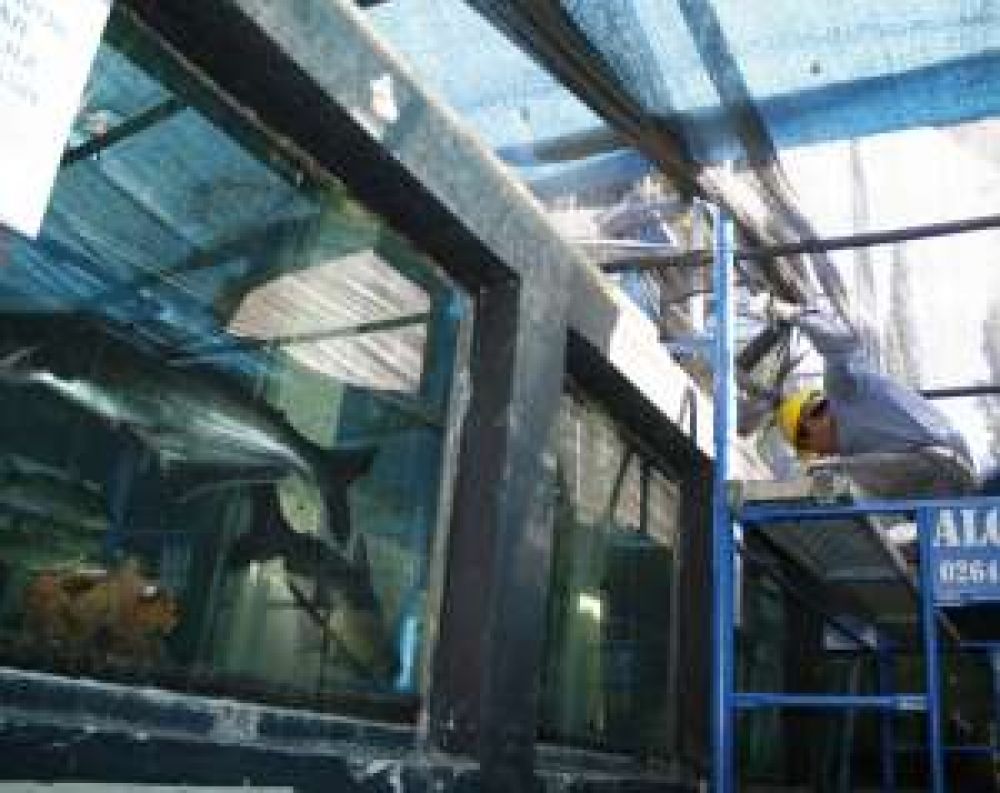 Remodelan el Faun�stico cuidando a los animales