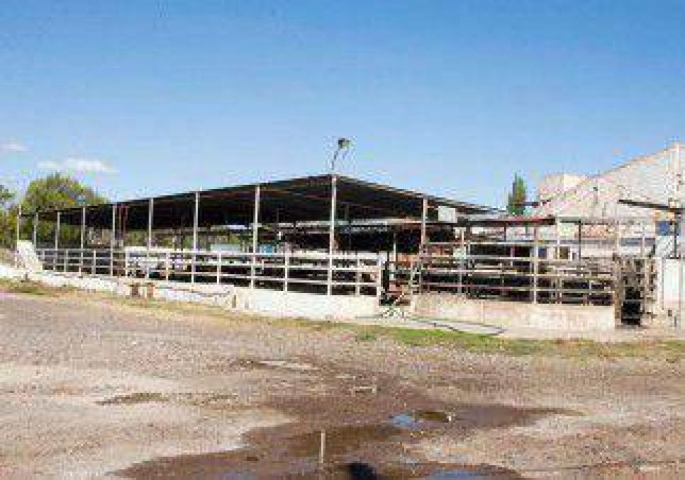 Crece la pol�mica por la situaci�n del matadero en Centenario 
