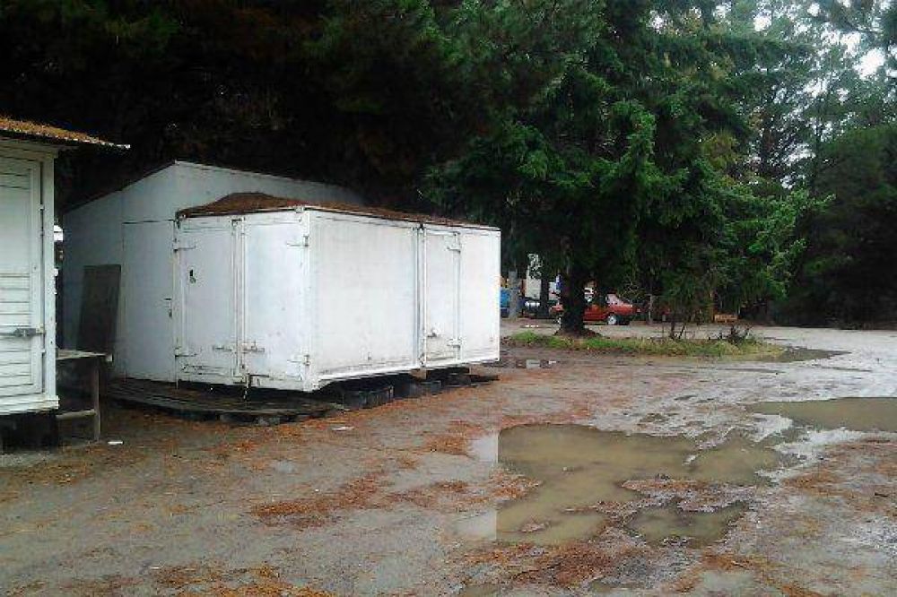 Clausuran un dep�sito clandestino de carnes que funcionaba al lado de la Caminera