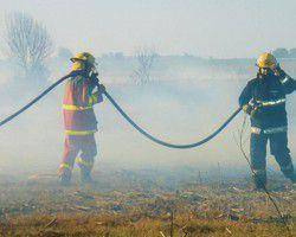 Por semana se registran 14 incendios de pastizales