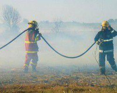 Por semana se registran 14 incendios de pastizales