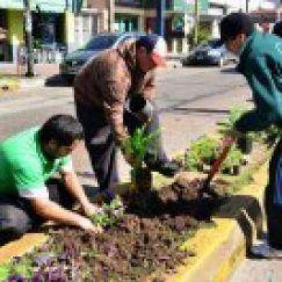 Los dos millones en flores del boulevard